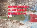 龙胜棋牌官方网站-cctv中超直播表(中超视频直播cctv5)